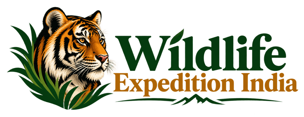 Wild Life Expedition India
